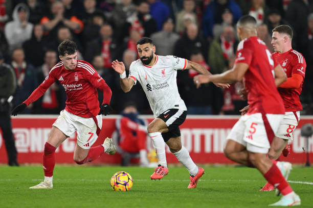 真相的面纱 真相的面纱